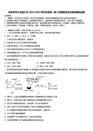贵州毕节大方县三中 2024-2025学年生物高一第二学期期末综合测试模拟试题含解析