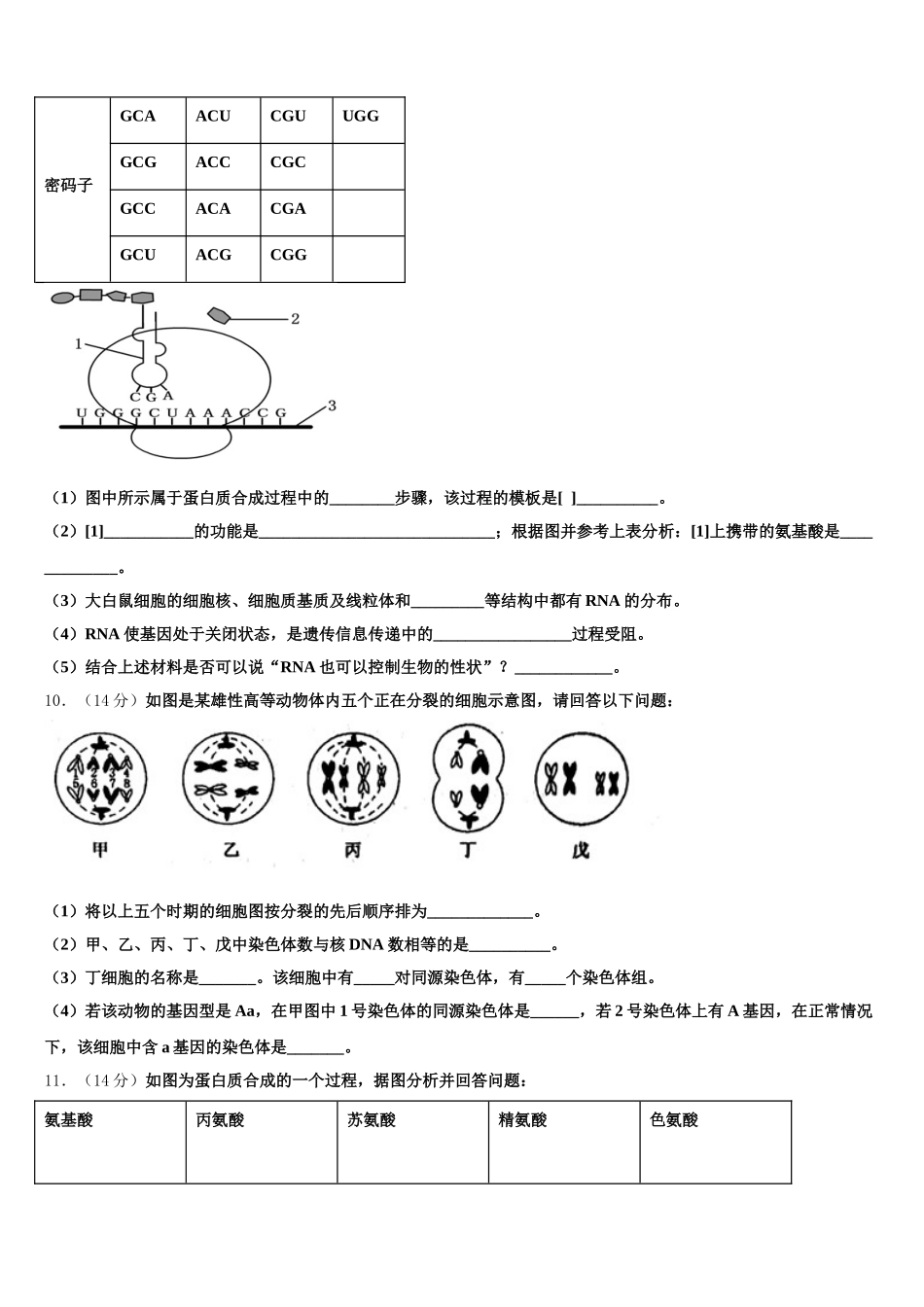 2025年贵州省务川自治县民族寄宿制中学高一下生物期末经典试题含解析_第3页