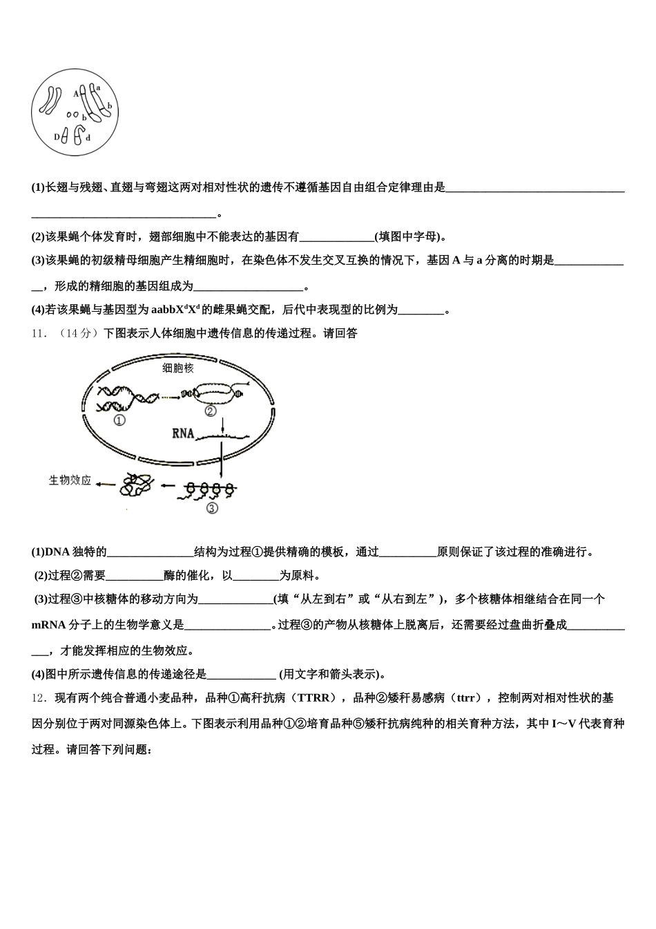 贵州省长顺县民族高级中学2025届生物高一第二学期期末调研模拟试题含解析_第3页