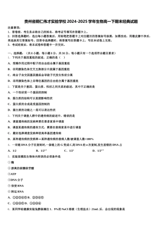 贵州省铜仁伟才实验学校2024-2025学年生物高一下期末经典试题含解析