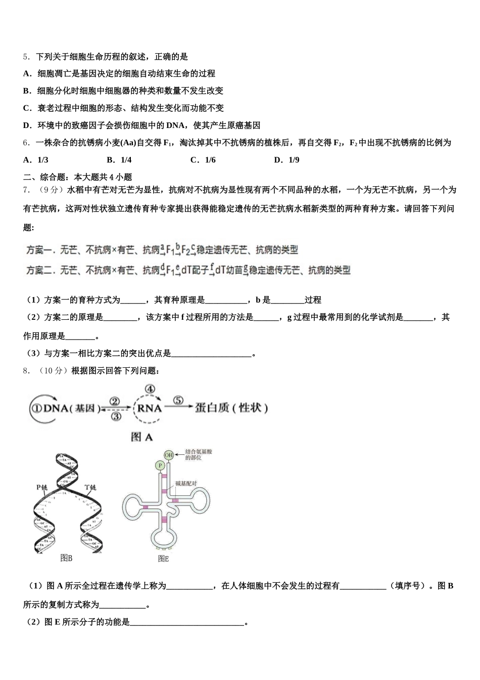 2025届贵州省六盘水市生物高一第二学期期末教学质量检测试题含解析_第2页