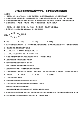 2025届贵州省六盘山育才中学高一下生物期末达标测试试题含解析