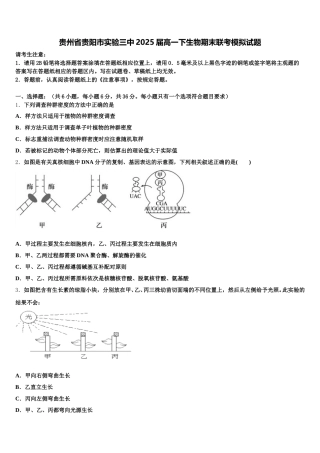 贵州省贵阳市实验三中2025届高一下生物期末联考模拟试题含解析