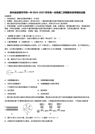 贵州省安顺市平坝一中2024-2025学年高一生物第二学期期末统考模拟试题含解析