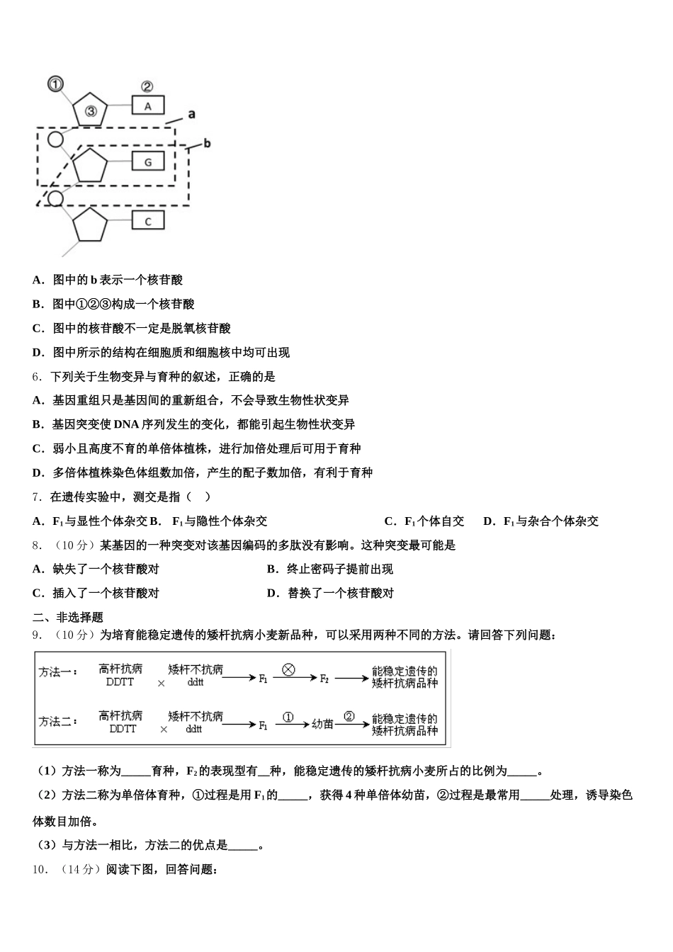 贵州省贵阳市第二中学2024-2025学年高一下生物期末质量检测试题含解析_第2页