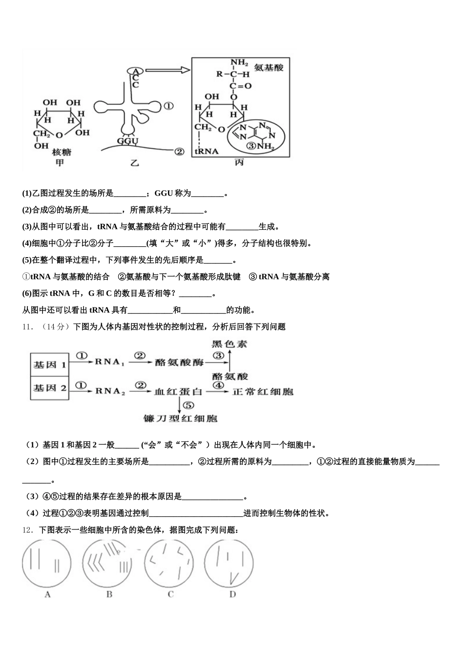 贵州省贵阳市第二中学2024-2025学年高一下生物期末质量检测试题含解析_第3页