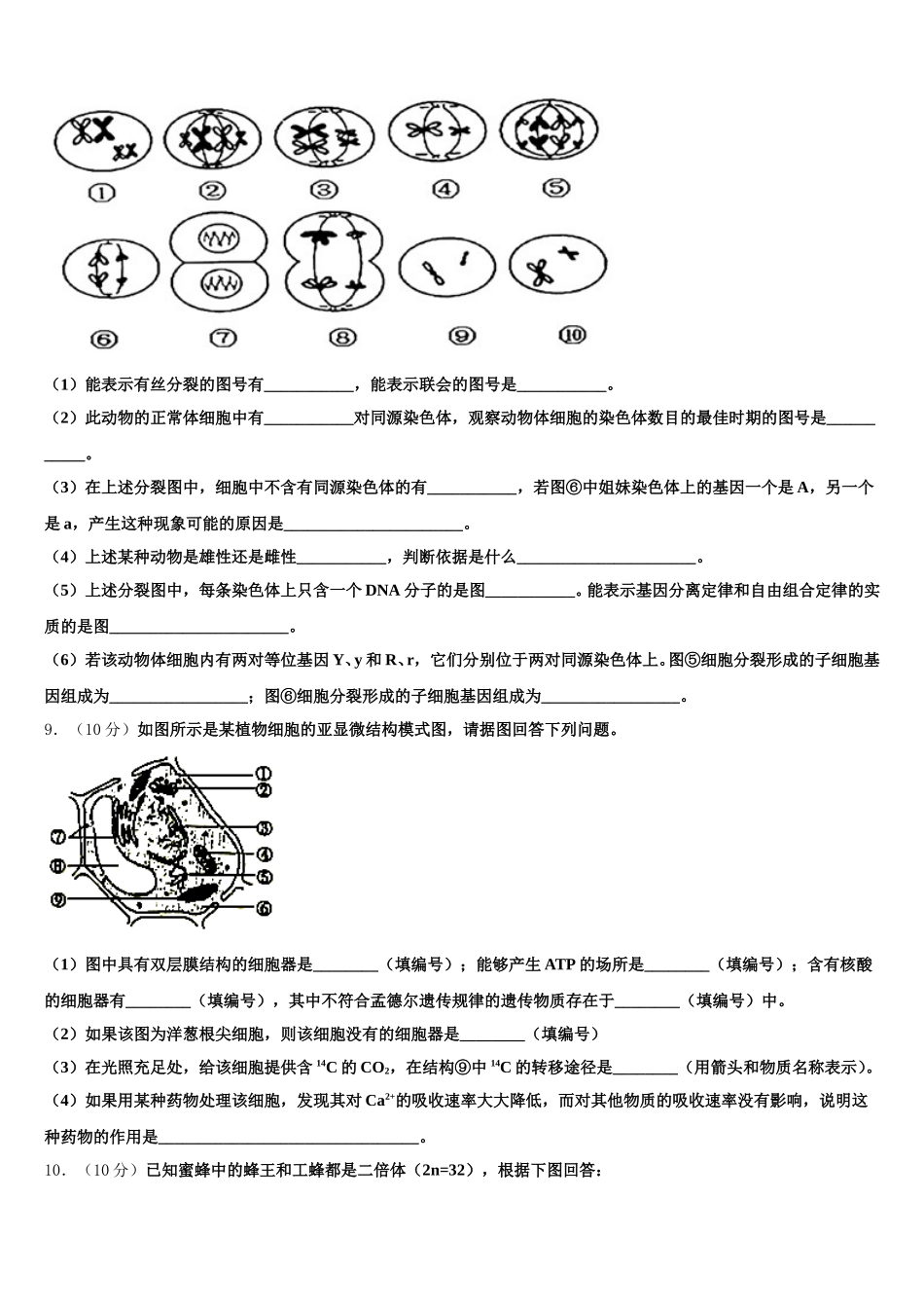 贵州省贵阳市清华中学2025届生物高一下期末联考试题含解析_第3页