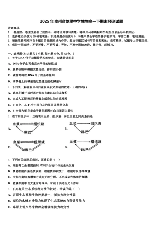 2025年贵州省龙里中学生物高一下期末预测试题含解析
