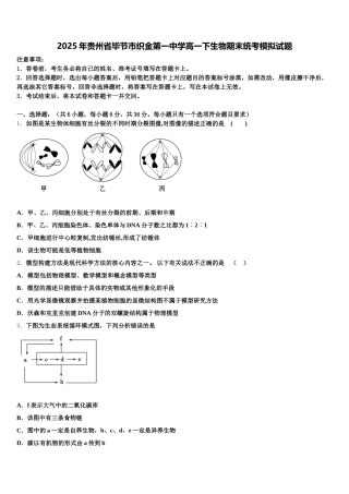 2025年贵州省毕节市织金第一中学高一下生物期末统考模拟试题含解析