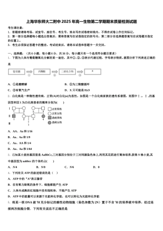 上海华东师大二附中2025年高一生物第二学期期末质量检测试题含解析