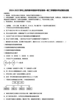 2024-2025学年上海市新中高级中学生物高一第二学期期末考试模拟试题含解析