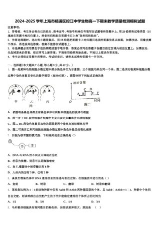 2024-2025学年上海市杨浦区控江中学生物高一下期末教学质量检测模拟试题含解析