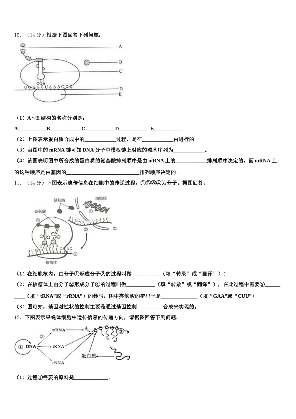 上海市宝山区海滨中学2024-2025学年高一生物第二学期期末统考模拟试题含解析_第3页