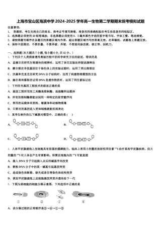 上海市宝山区海滨中学2024-2025学年高一生物第二学期期末统考模拟试题含解析