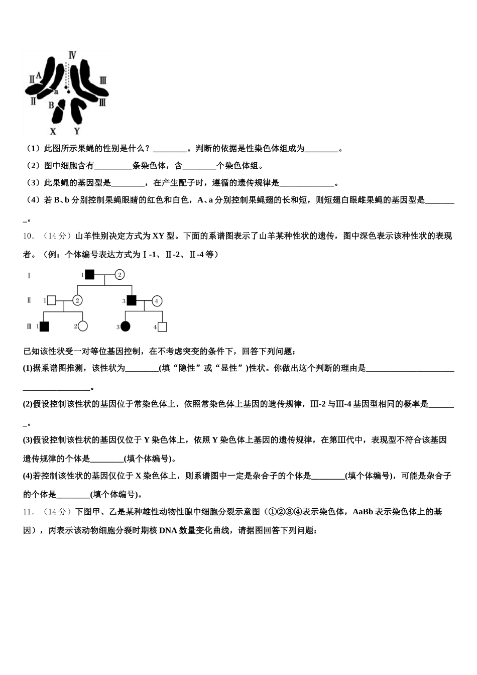 上海市浦东新区建平中学2025年生物高一下期末检测试题含解析_第3页