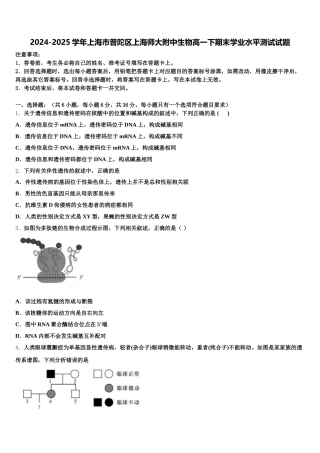2024-2025学年上海市普陀区上海师大附中生物高一下期末学业水平测试试题含解析