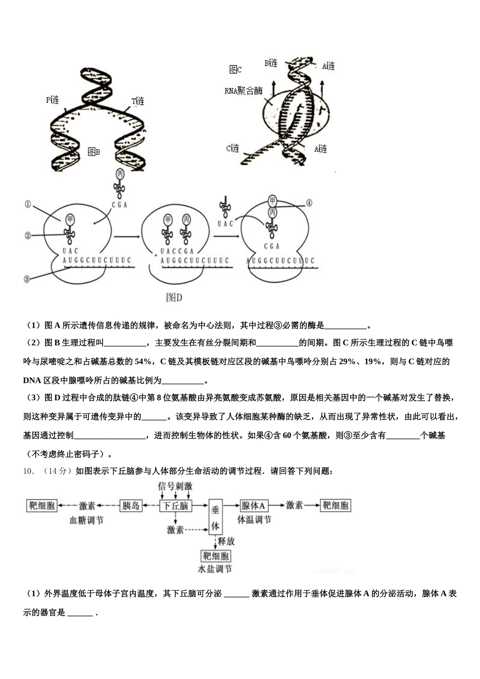2024-2025学年上海市敬业中学生物高一第二学期期末学业质量监测试题含解析_第3页