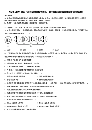 2024-2025学年上海市实验学校生物高一第二学期期末教学质量检测模拟试题含解析