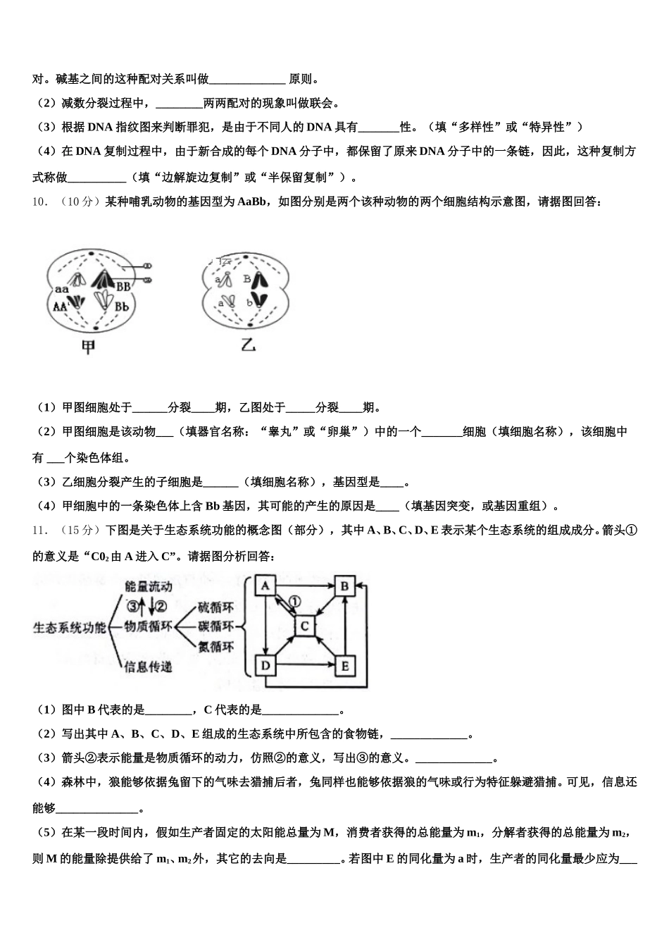 2025届上海市黄浦区生物高一下期末质量检测试题含解析_第3页