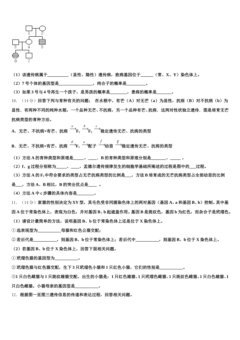 上海市松江区市级名校2025年生物高一第二学期期末质量跟踪监视模拟试题含解析_第3页