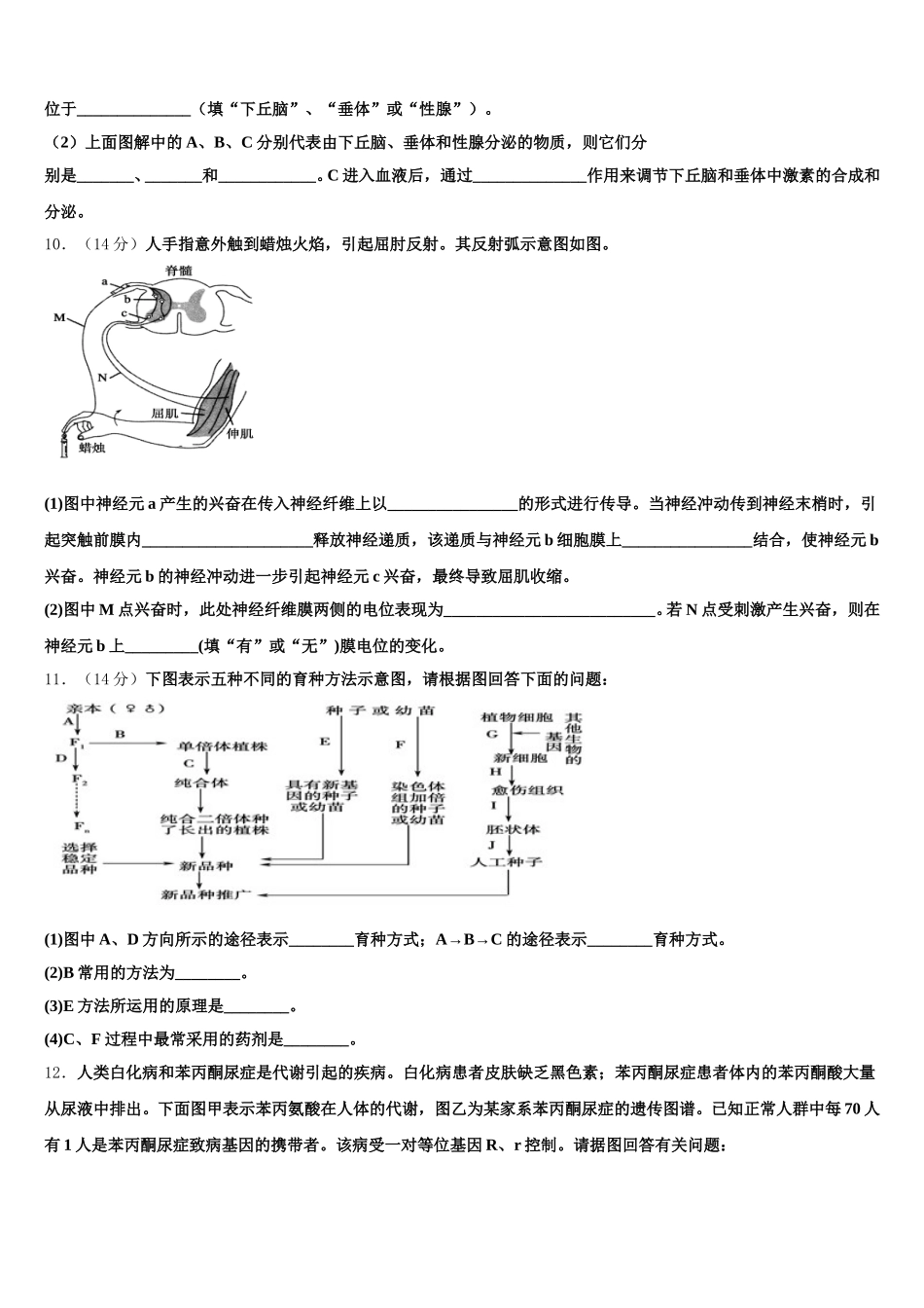 上海市六十中学2025届高一生物第二学期期末联考试题含解析_第3页
