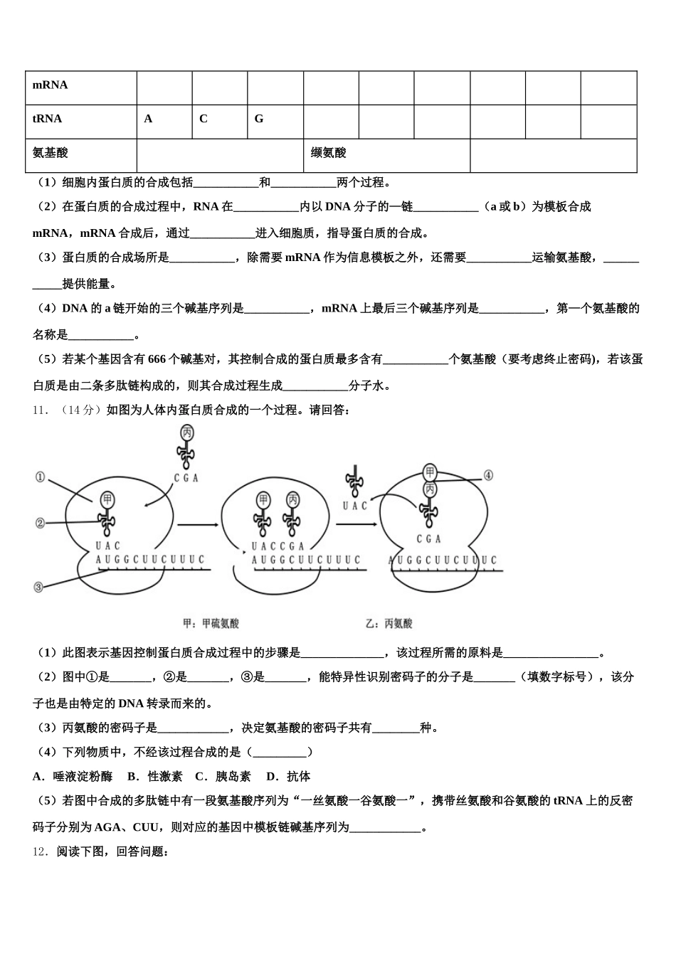 2025届上海市十中生物高一第二学期期末监测试题含解析_第3页
