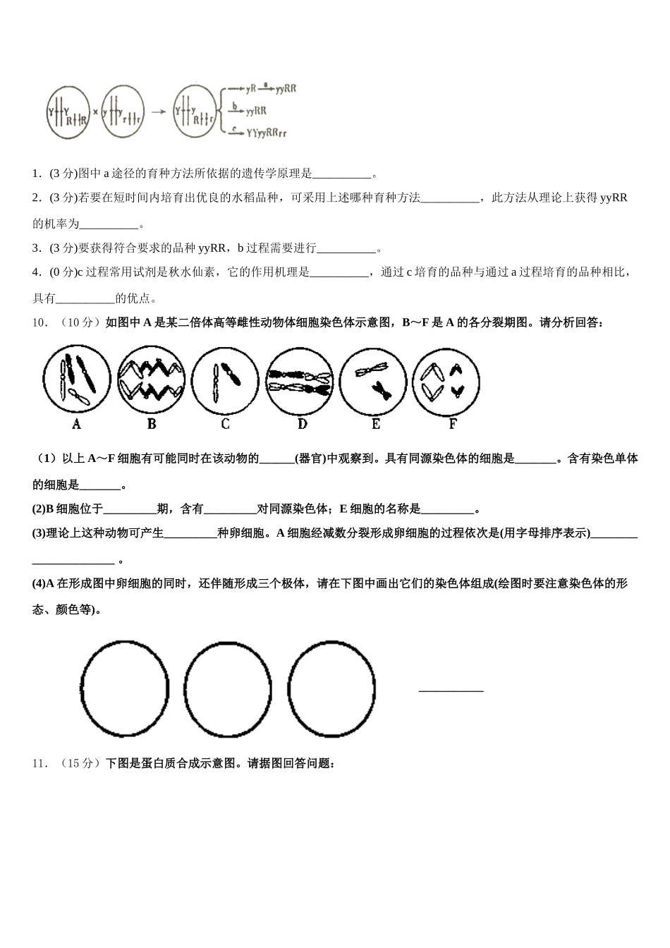 2024-2025学年上海市华师大三附中高一下生物期末学业质量监测模拟试题含解析_第3页