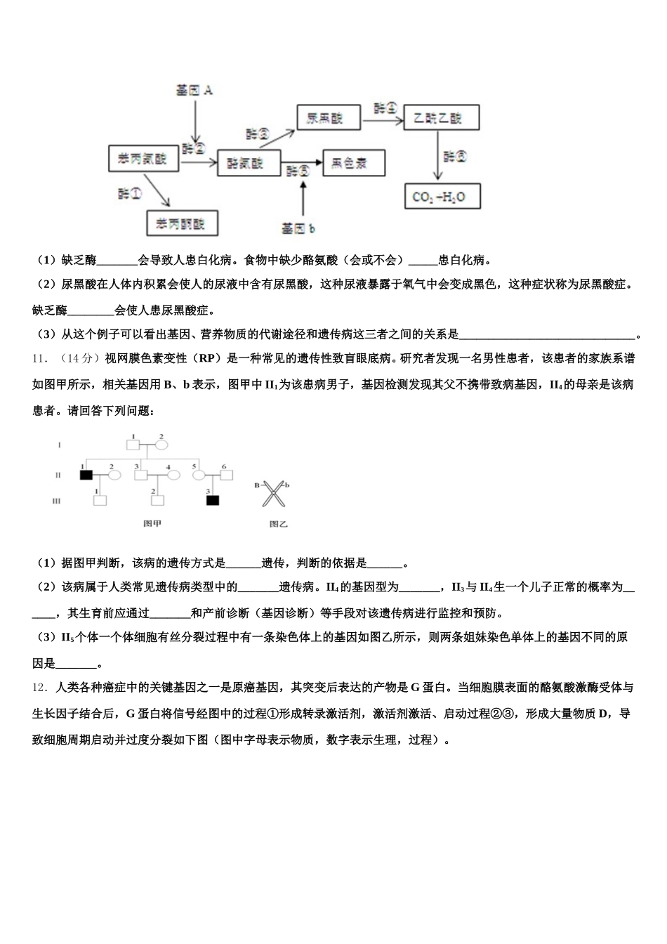 2025届上海市南洋模范中学生物高一下期末复习检测试题含解析_第3页