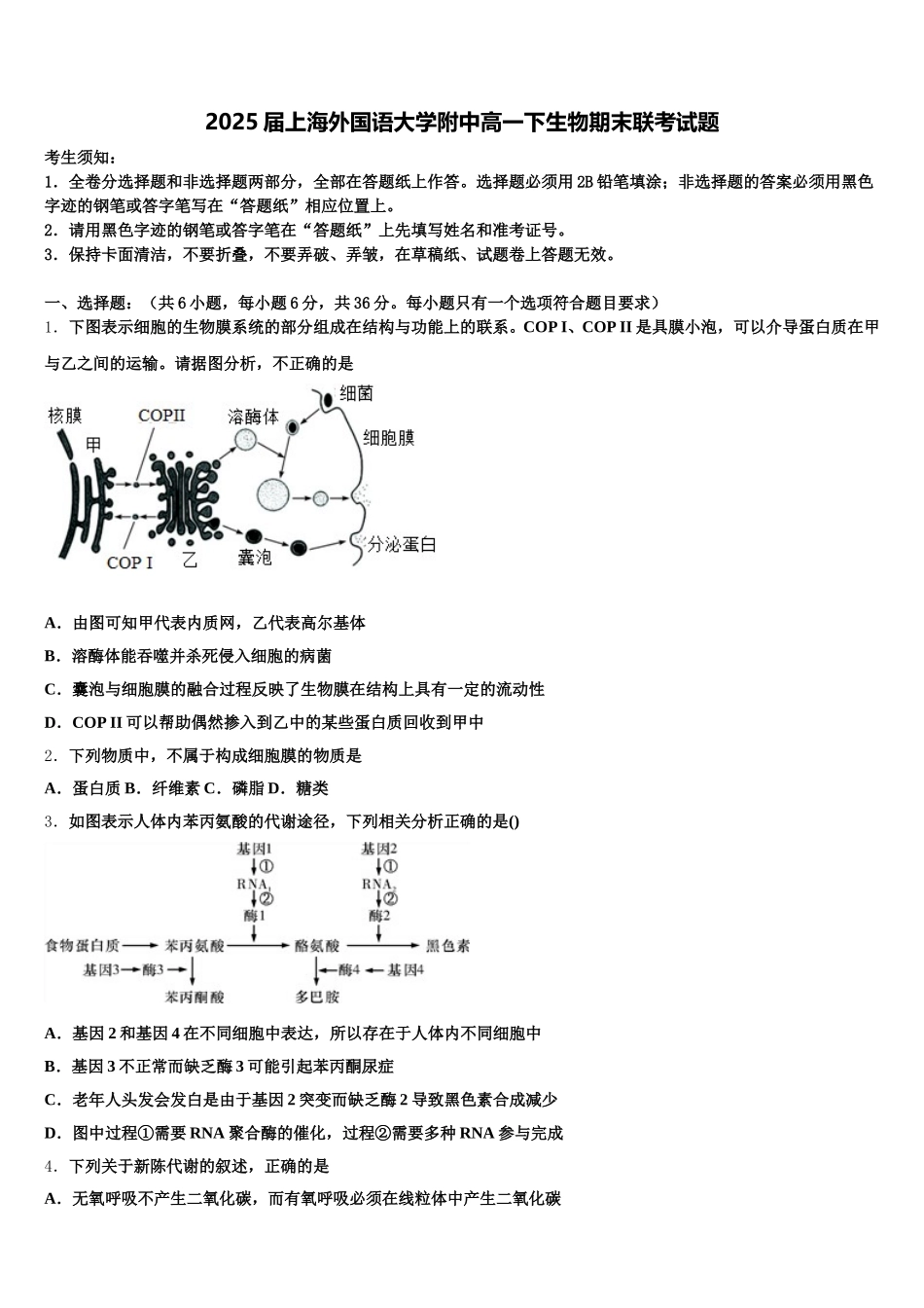 2025届上海外国语大学附中高一下生物期末联考试题含解析_第1页