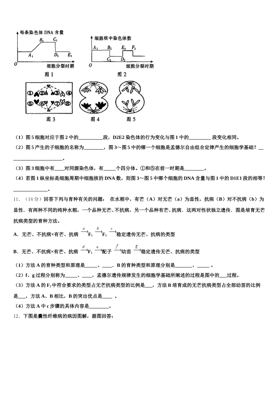 2025届上海市光明中学生物高一下期末复习检测模拟试题含解析_第3页