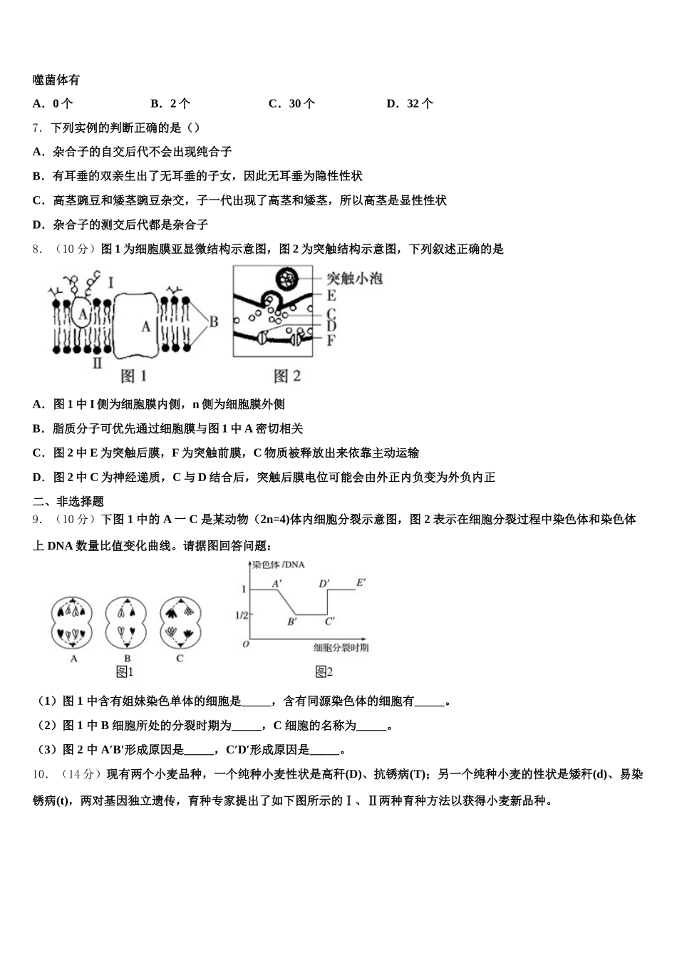 2025年上海市嘉定区嘉定二中生物高一下期末达标检测模拟试题含解析_第2页