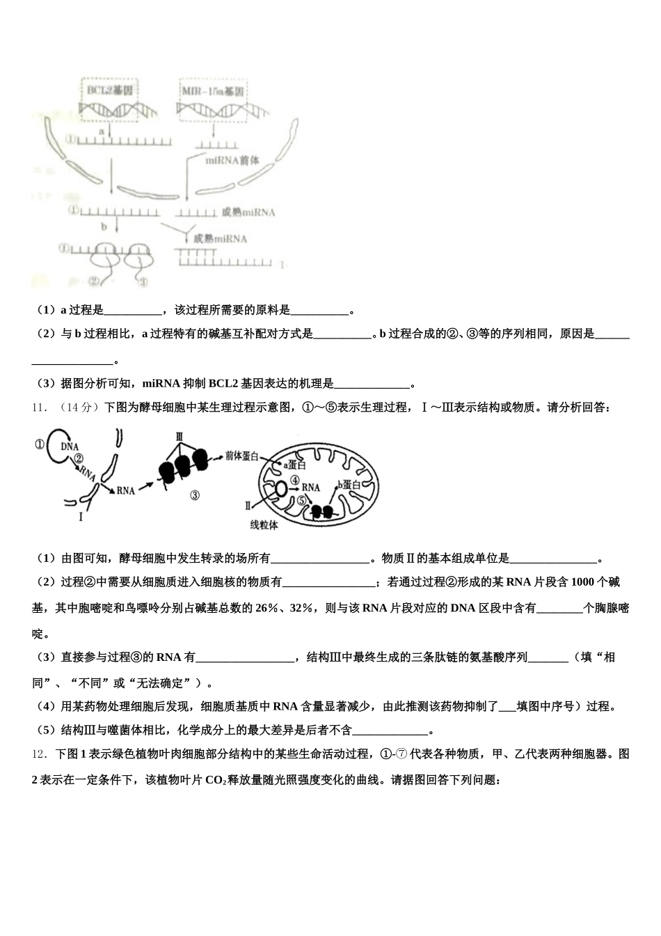 2025年上海市徐汇区市级名校生物高一第二学期期末考试模拟试题含解析_第3页