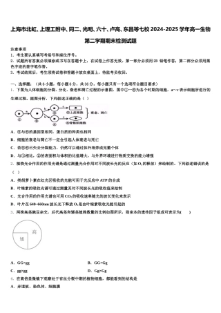 上海市北虹、上理工附中、同二、光明、六十、卢高、东昌等七校2024-2025学年高一生物第二学期期末检测试题含解析