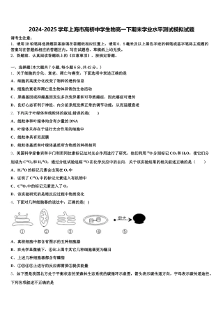 2024-2025学年上海市高桥中学生物高一下期末学业水平测试模拟试题含解析