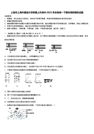 上海市上海外国语大学附属上外高中2025年生物高一下期末调研模拟试题含解析