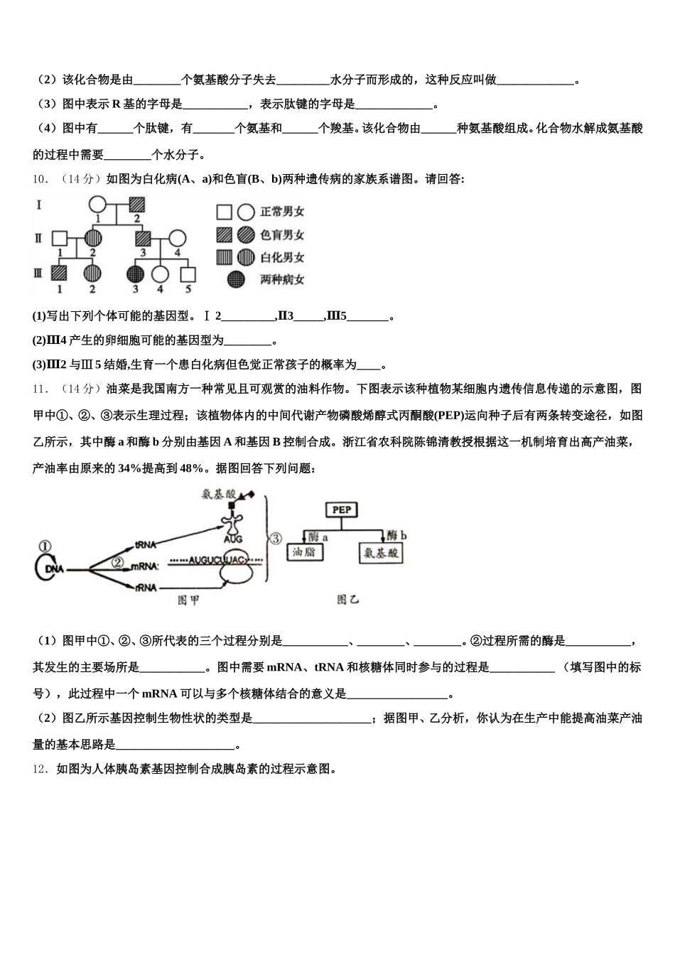 2025届上海市二中学生物高一下期末质量检测试题含解析_第3页