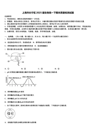 上海市长宁区2025届生物高一下期末质量检测试题含解析