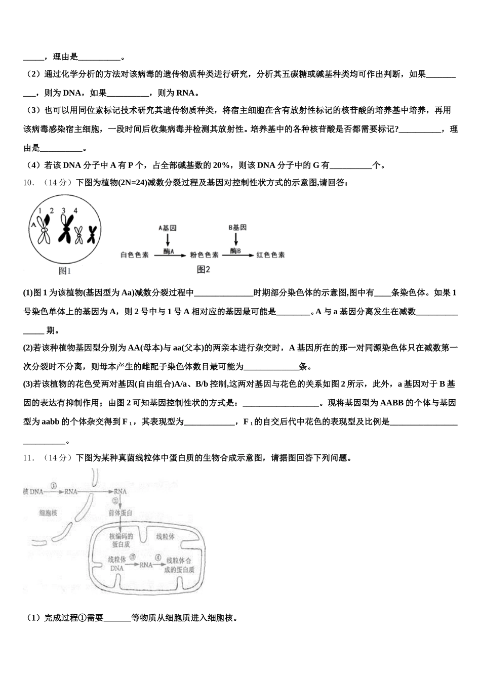 上海市上外附属大境中学2025届高一下生物期末统考试题含解析_第3页