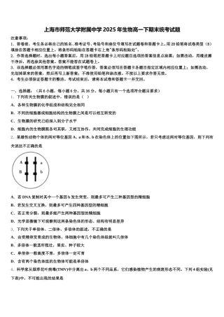 上海市师范大学附属中学2025年生物高一下期末统考试题含解析