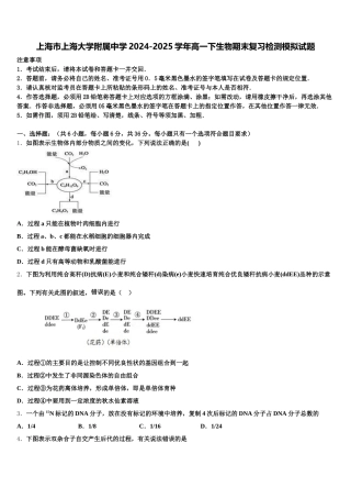 上海市上海大学附属中学2024-2025学年高一下生物期末复习检测模拟试题含解析