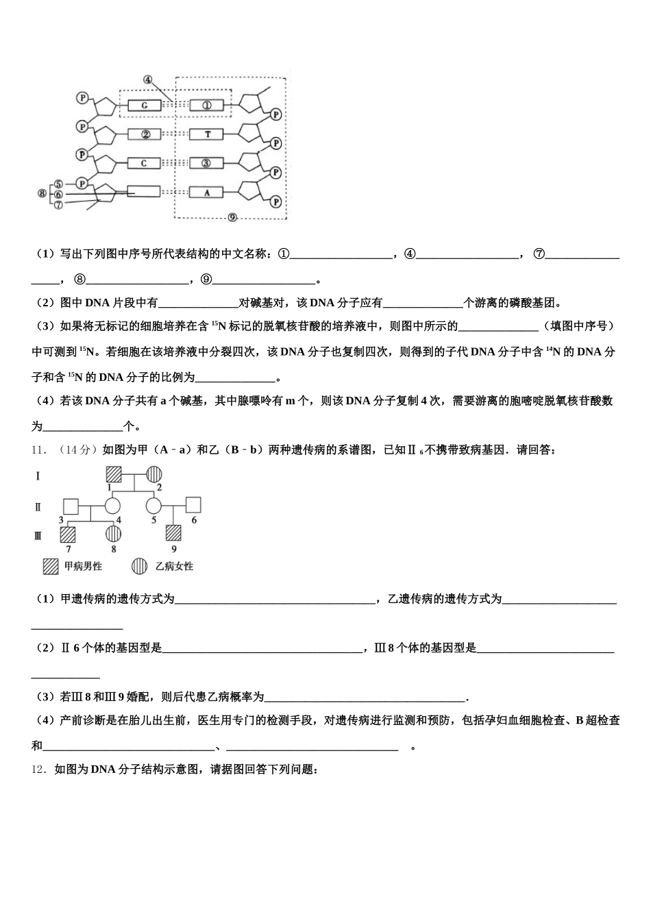 2025年上海市第一中学高一下生物期末教学质量检测模拟试题含解析_第3页