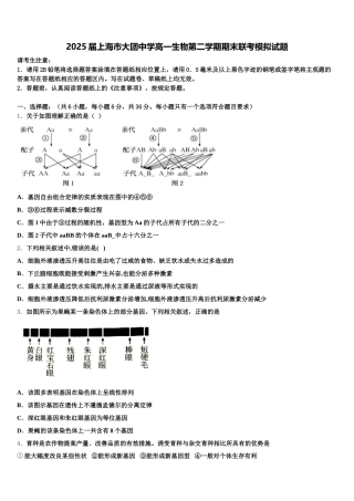 2025届上海市大团中学高一生物第二学期期末联考模拟试题含解析