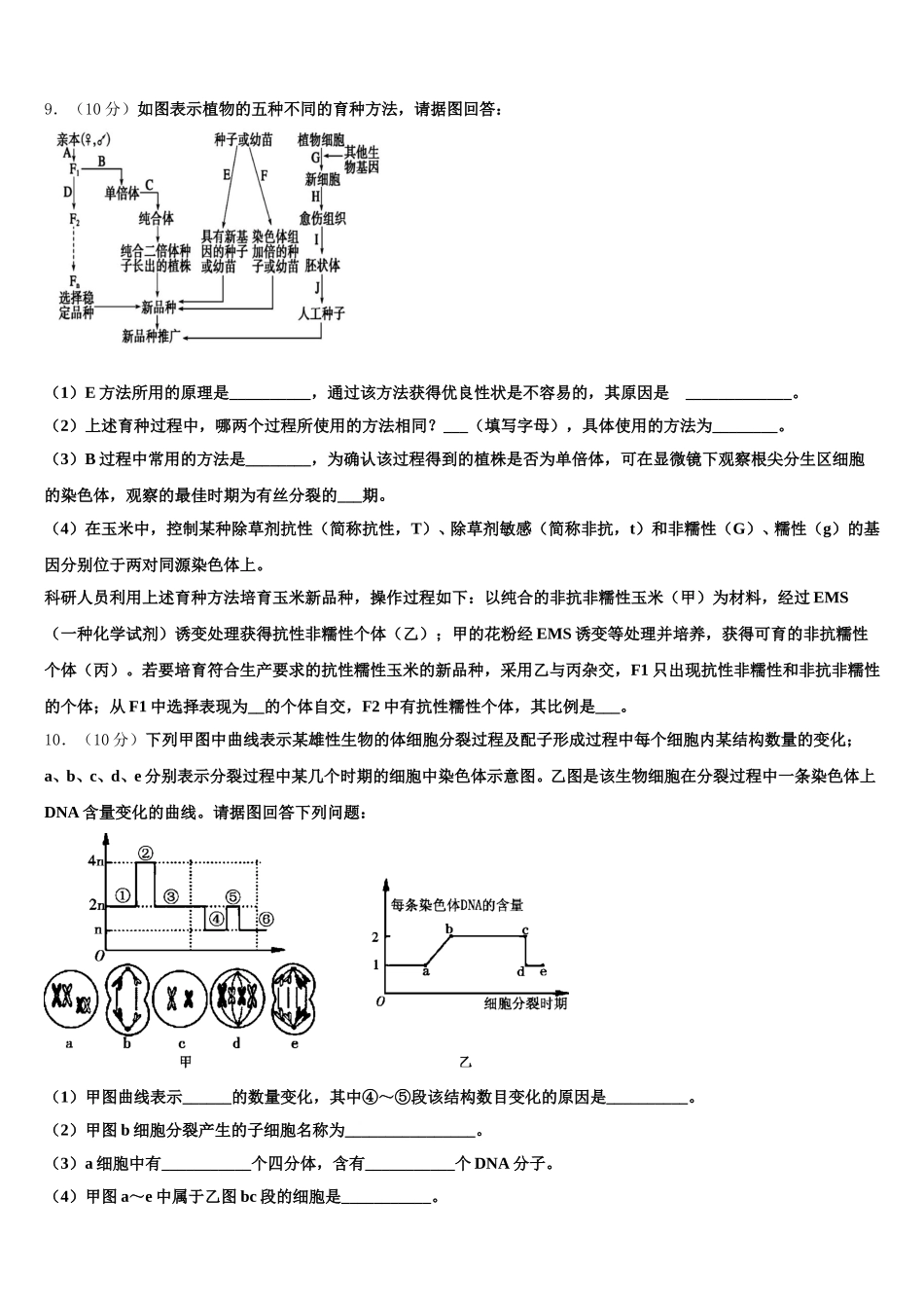 2025年上海复旦附中生物高一下期末质量跟踪监视试题含解析_第3页