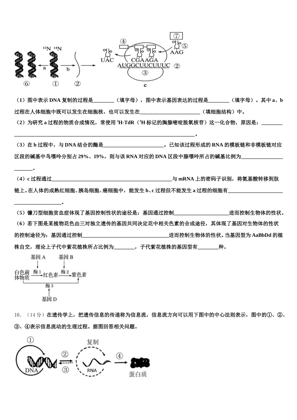 上海外国语大学附属上外高中2025届生物高一下期末监测试题含解析_第3页