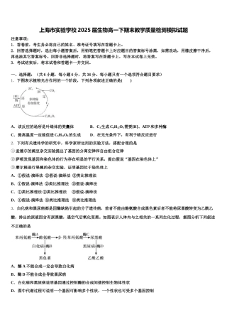 上海市实验学校2025届生物高一下期末教学质量检测模拟试题含解析
