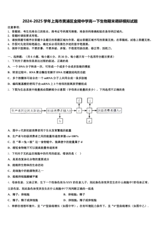 2024-2025学年上海市黄浦区金陵中学高一下生物期末调研模拟试题含解析