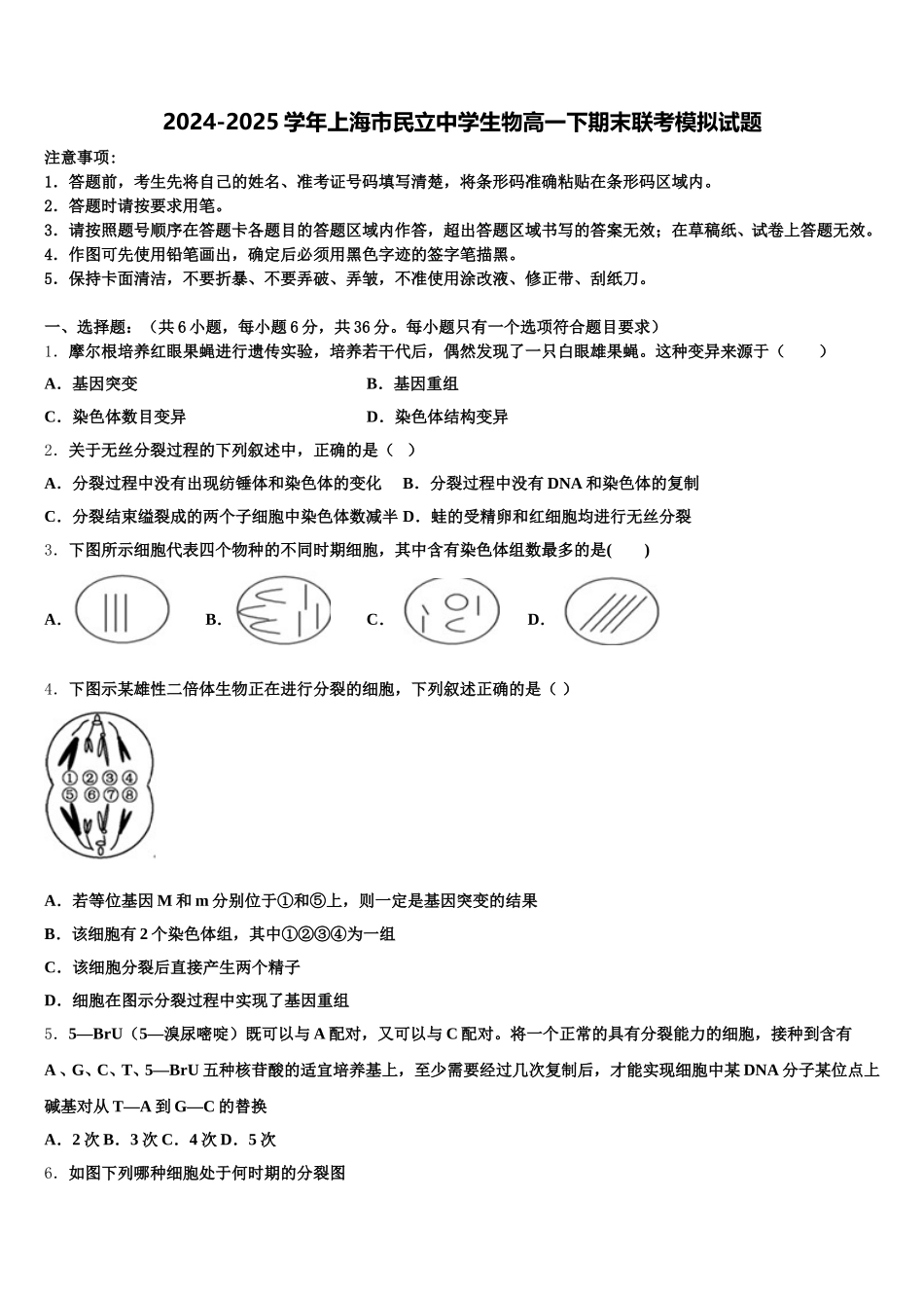 2024-2025学年上海市民立中学生物高一下期末联考模拟试题含解析_第1页
