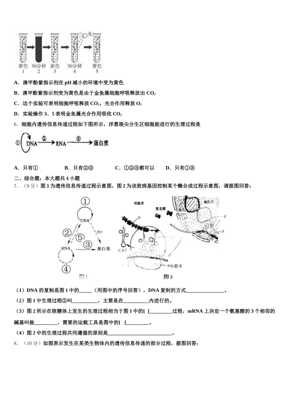 2025年上海大学附中生物高一第二学期期末复习检测模拟试题含解析_第2页
