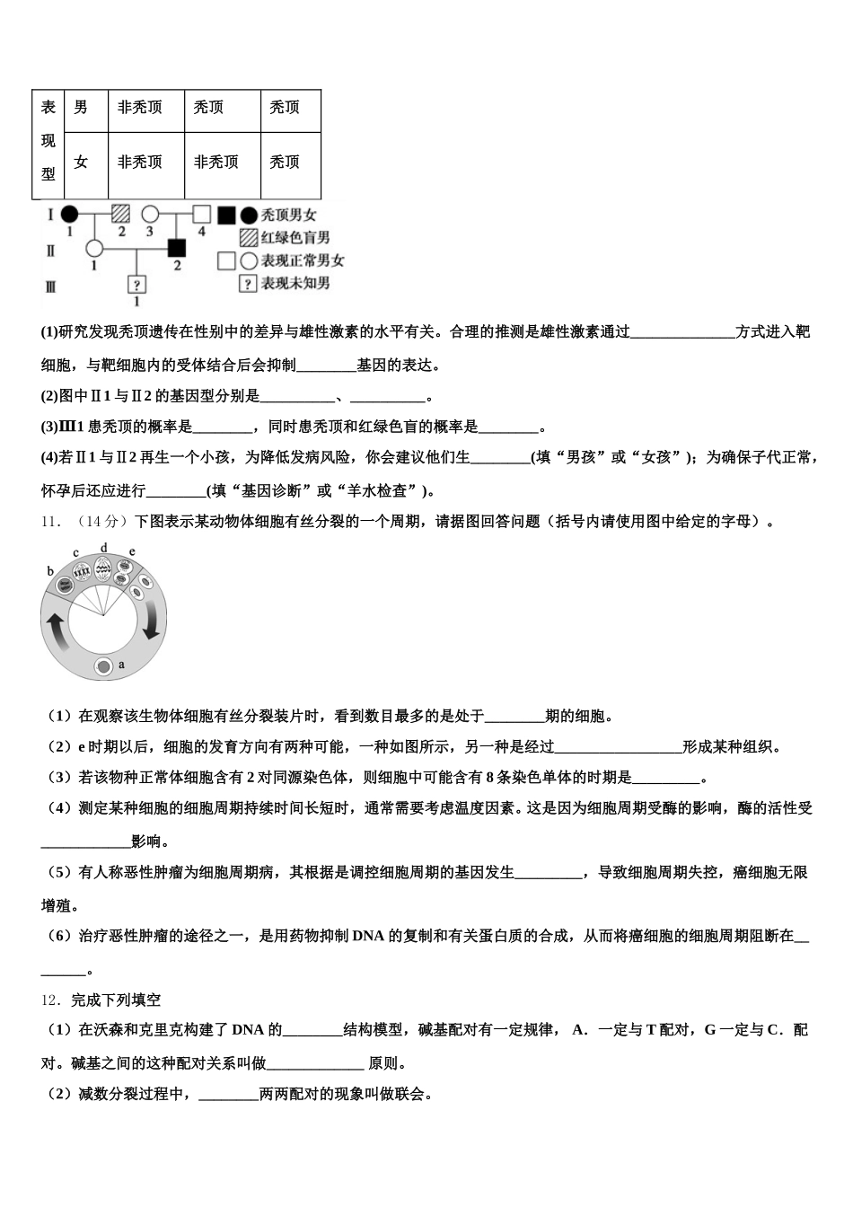 2024-2025学年上海市洋泾中学生物高一下期末调研试题含解析_第3页