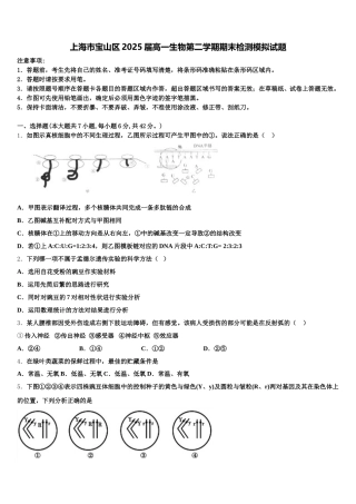上海市宝山区2025届高一生物第二学期期末检测模拟试题含解析